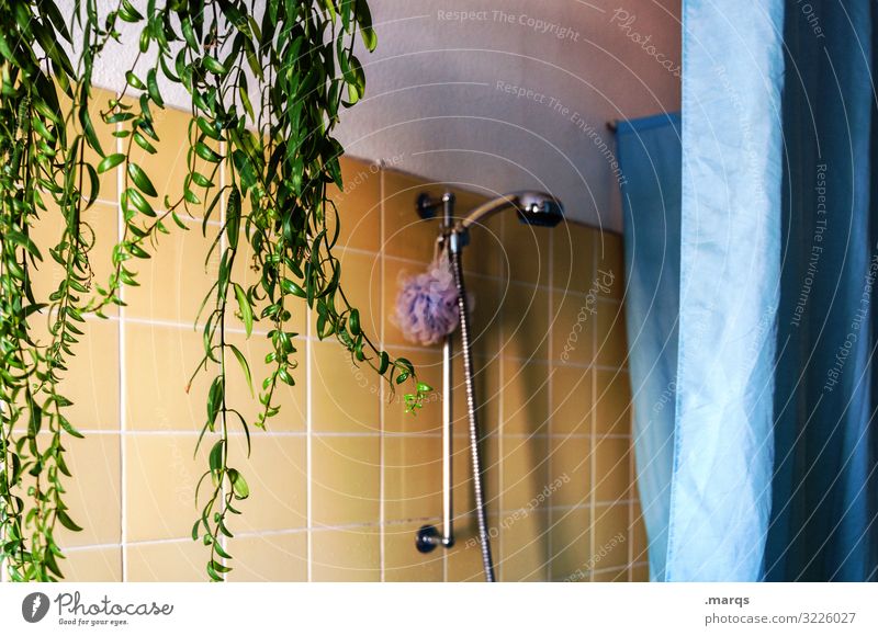 Badezimmer Lifestyle Wohnung Duschkopf Pflanze Duschvorhang Fliesen u. Kacheln authentisch retro blau gelb grün Sauberkeit Altbau Farbfoto Innenaufnahme