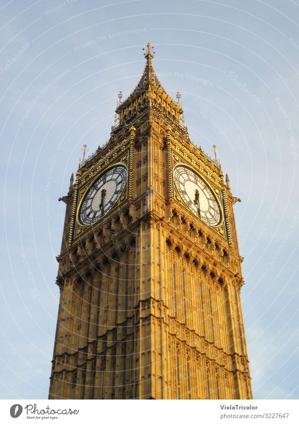 Big Ben: Turmspitze mit Uhr aus der Froschperspektive im goldenen Abendlicht London Ferien & Urlaub & Reisen Tourismus Hauptstadt Stadtzentrum Bauwerk