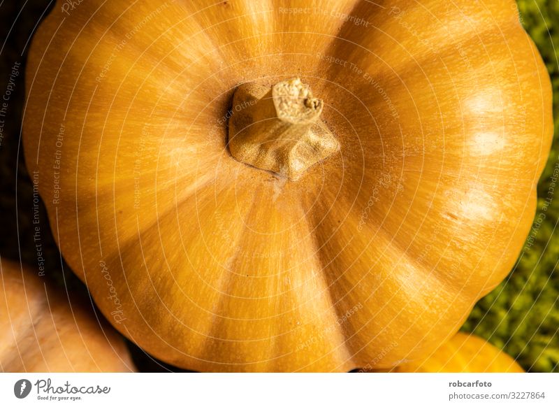 Herbstcenter Hintergrund mit Orangetönen Design schön Natur Pflanze Blatt natürlich gelb rot Farbe orange organisch Oktober Jahreszeiten November fallen