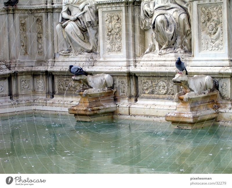 Brunnen [wolf] Wahrzeichen Wolf Italien Architektur alt