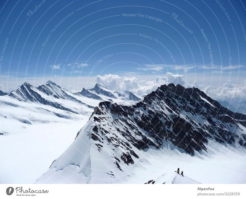Berner Oberland Klima Klimawandel Schönes Wetter Eis Frost Schnee Felsen Alpen Berge u. Gebirge Mönch (Berg) Gipfel Schneebedeckte Gipfel Gletscher Glück