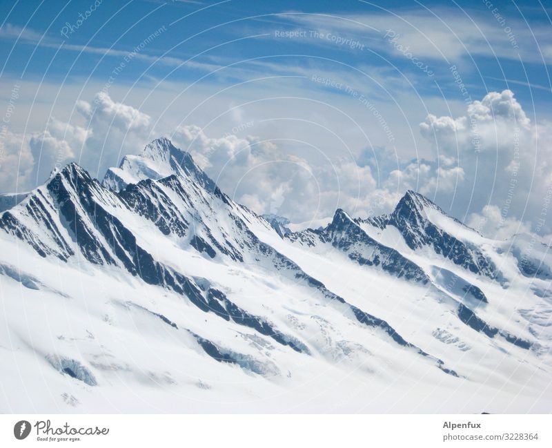 Vorsicht scharf ! Zähne im Berner Oberland Klima Klimawandel Schönes Wetter Hügel Felsen Alpen Berge u. Gebirge Gipfel Schneebedeckte Gipfel Gletscher sportlich