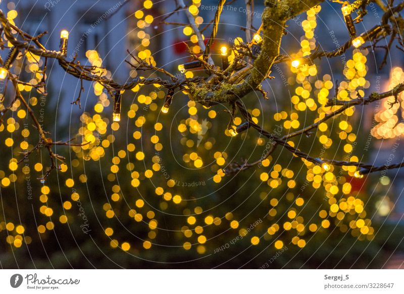 Lichter Winter Weihnachten & Advent Kulmbach Menschenleer gelb orange Lichterkette Unschärfe Farbfoto Außenaufnahme Nahaufnahme Detailaufnahme