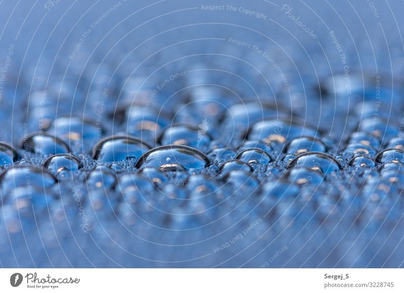 Tropfen Umwelt Wasser Wassertropfen nah nass blau Frühling2019 Farbfoto Außenaufnahme Nahaufnahme Makroaufnahme Menschenleer Textfreiraum links