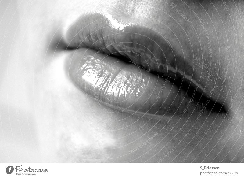 Lippen Detailaufnahme Lippenstift feminin Frau Erwachsene Mund glänzend schwarz weiß Lipgloss Glamour Mundwinkel voll
