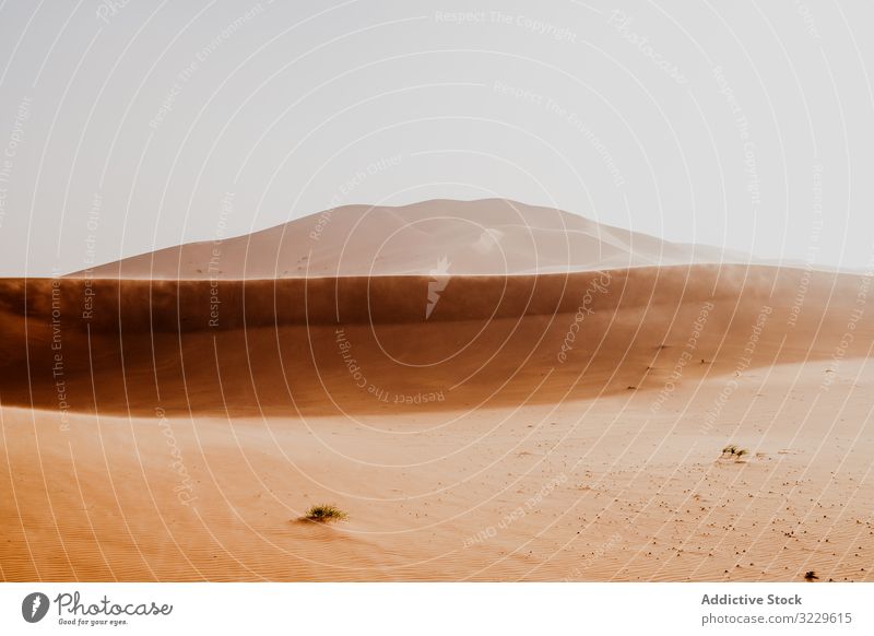 Sanddüne in trockener Wüste Düne wüst Himmel grau Marokko Afrika Natur trocknen Landschaft Hügel Wildnis niemand wolkenlos Wetter heiß warm Dürre Gelände