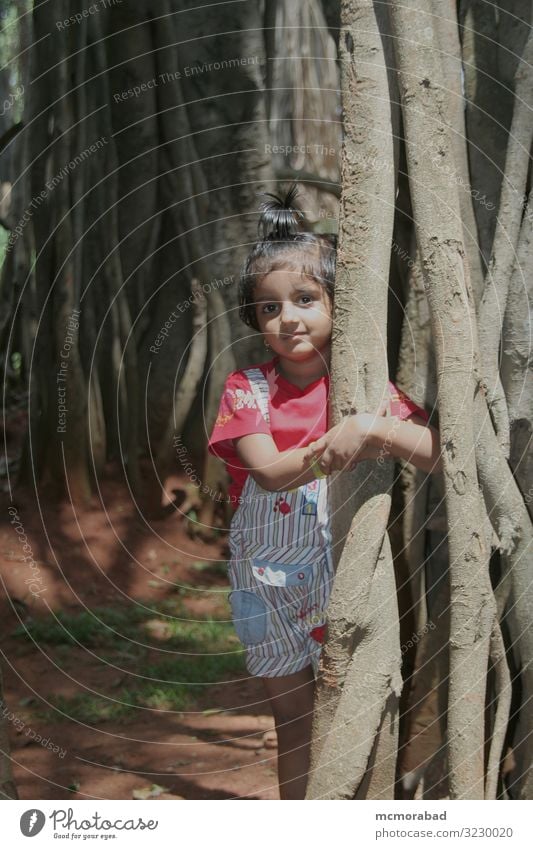 Baumkampagne speichern sparen Kind Kleinkind Mädchen 1 Mensch 3-8 Jahre Kindheit Pflanze Umarmen Youngster 2-4 Jahre Inder asiatisch Halt Banyan Pflanzenwelt