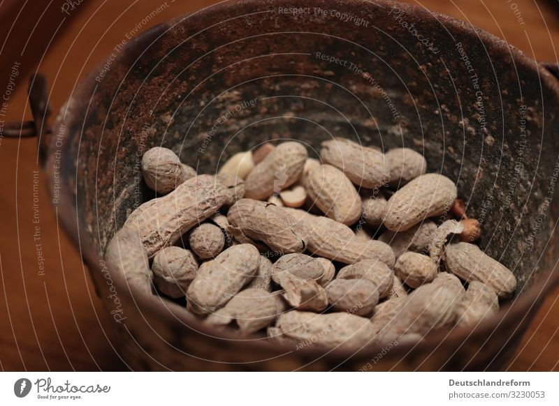Peanuts Lebensmittel Erdnüsse Geröstete Erdnüsse Erdnüsse in Schale Nüsse Hülsenfrüchte Fett Vegetarische Ernährung Gesundheit trendy lecker braun Farbfoto