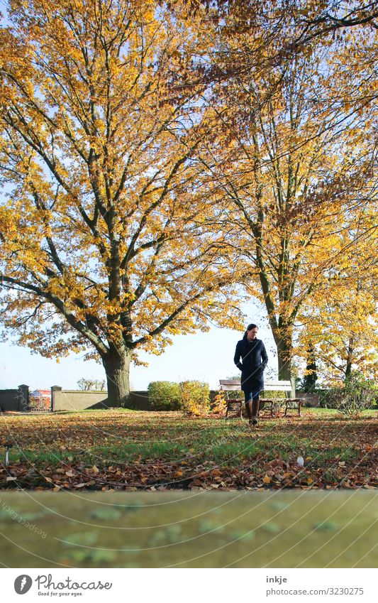 Friedhof Lifestyle Freizeit & Hobby Frau Erwachsene Leben 1 Mensch 30-45 Jahre Sonnenlicht Herbst Schönes Wetter Baum Park gehen schön braun grün herbstlich