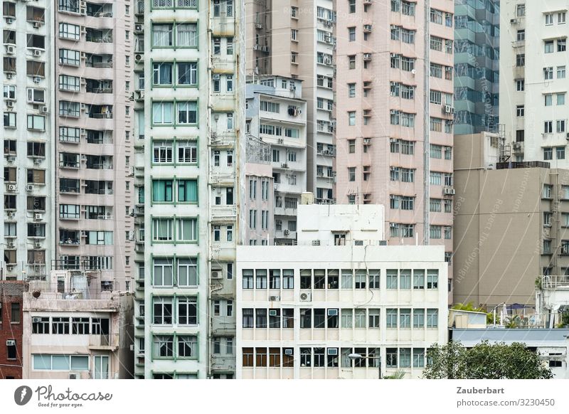 Hochhäuser in Hongkong Städtereise China Stadt Stadtzentrum Hochhaus Mauer Wand Fassade Fenster Stein Glas Häusliches Leben eckig hoch kalt modern diszipliniert