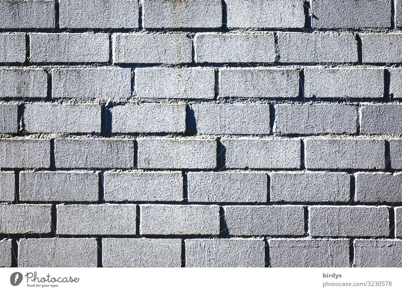 Mauer Maurer Wand Backsteinwand Linie authentisch einfach grau schwarz Schutz formatfüllend Hintergrundbild Farbfoto Gedeckte Farben Außenaufnahme
