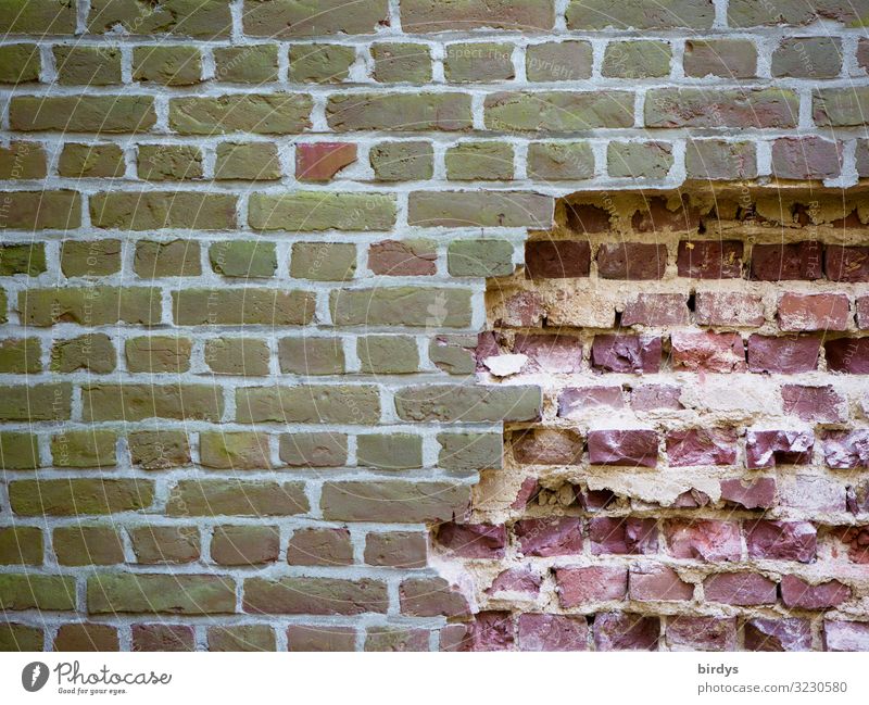 Freiheit lockt Mauer Wand Backsteinwand authentisch fest kaputt rebellisch braun grau rosa Gefühle Mut Tatkraft Einsamkeit Platzangst Ausbruch