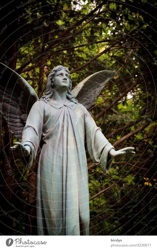 Silenzio, Silenzio 1 Mensch 18-30 Jahre Jugendliche Erwachsene 30-45 Jahre Skulptur Natur Sommer Baum Park Friedhof Engel stehen authentisch schön positiv