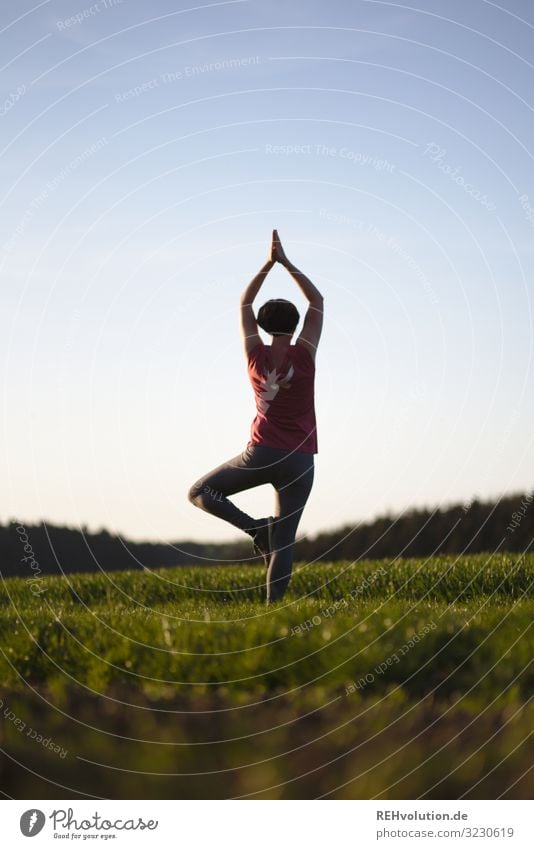 Frau macht Yoga in der Natur Gegenlicht Mensch sportlich Sport achtsam stille Ruhe entspannung Silhouette Lifestyle Sonnenlicht Sonnenuntergang Freiheit