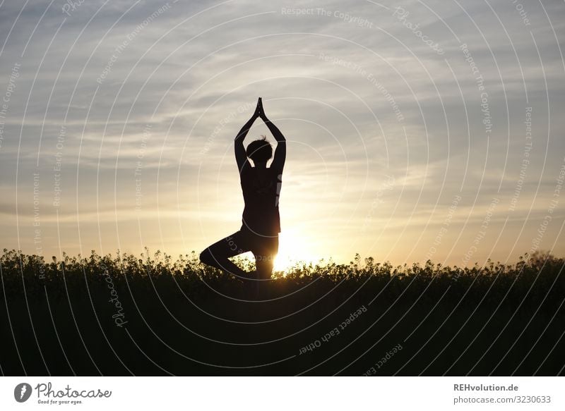 Frau macht Yoga bei Sonnenuntergang Natur Landschaft Sonnenlicht Gegenlicht Silhouette entspannung Ruhe stille achtsam Lifestyle Sport sportlich Mensch