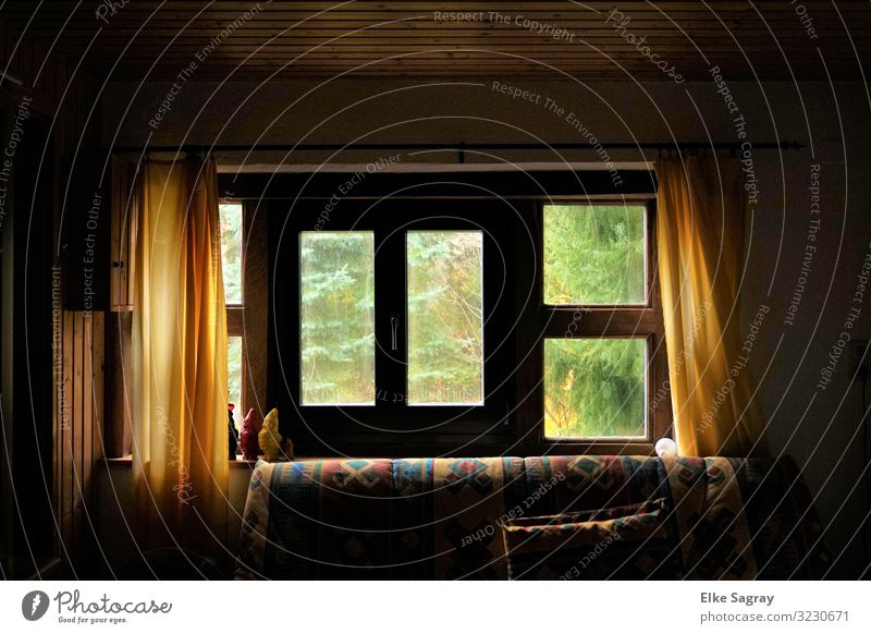 Das Fenster zum Garten Herbst Menschenleer Fernglas Holz Frieden Farbfoto Innenaufnahme Tag Starke Tiefenschärfe Zentralperspektive