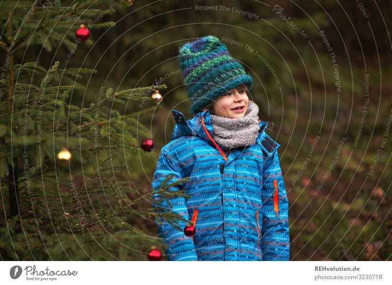 Kind steht an einem Weihnachtsbaum im Wald Vorderansicht Oberkörper Porträt Zentralperspektive Schwache Tiefenschärfe Unschärfe Tag Außenaufnahme Farbfoto