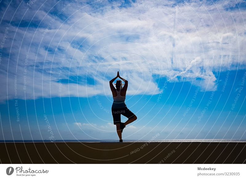 Yoga - die Freiheit Erholung Erwachsene Lifestyle Gleichgewicht meditierend Frau Meditation Körper Natur Fitness Gesundheit Sommer Außenaufnahme Himmel Sonne