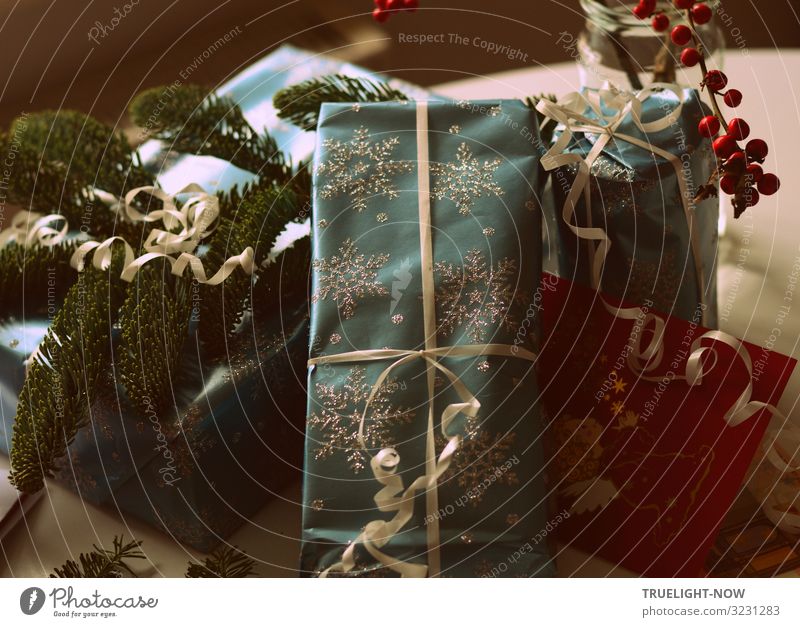 Weihnachtsgeschenke 1 Lifestyle kaufen Freude Glück Dekoration & Verzierung Feste & Feiern Weihnachten & Advent Winter Pflanze Grünpflanze Tannenzweig Ilex