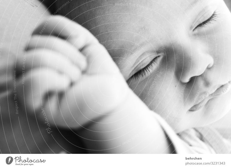 vertrauen | schlafendes baby glücklich Glück zufrieden Baby Junge Familie & Verwandtschaft Mutter Vater Kindheit Nase Auge Gesicht Kopf Schutz Vertrauen