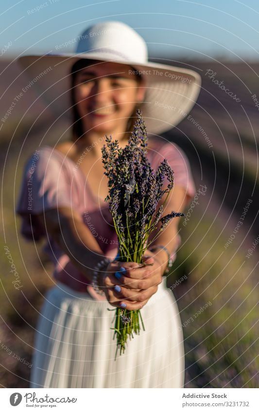 Fröhliche Frau mit Lavendelbouquet Blumenstrauß Feld abholen pflücken Überstrahlung Natur reisen Tourismus Ausflug Urlaub elegant heiter Glück Hut stehen