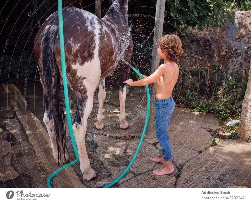 Streicheln und Waschen von Kindern im Sommer Junge Pferd Bauernhof Hengst Barfuß Schlauch Landschaft Liebe Ranch Wasser Urlaub platschen Hobby Feiertag Reiter