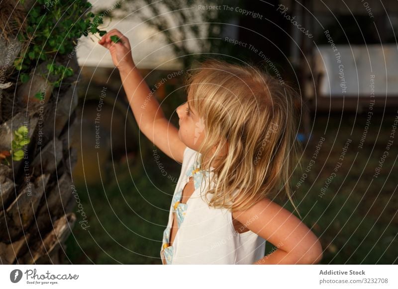 Mädchen berührt Blätter am Baum im Garten Blatt berühren wenig Kind friedlich Hand auf der Taille Freude Laubwerk Kofferraum Lifestyle ruhen