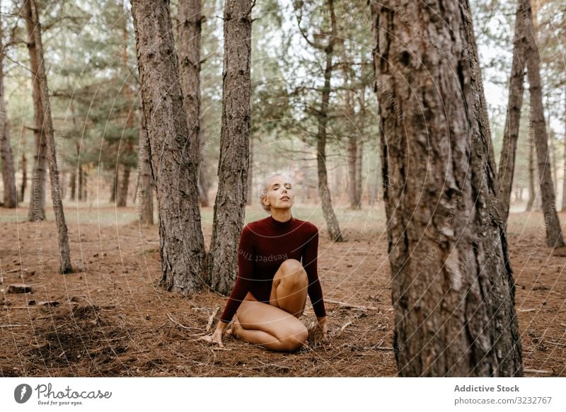 Schöne moderne Frau ruht barfuss in immergrünem Wald Wälder Harmonie hockend primitiv umarmende Knie blond sorgenfrei Barfuß attraktiv schön charmant ruhen