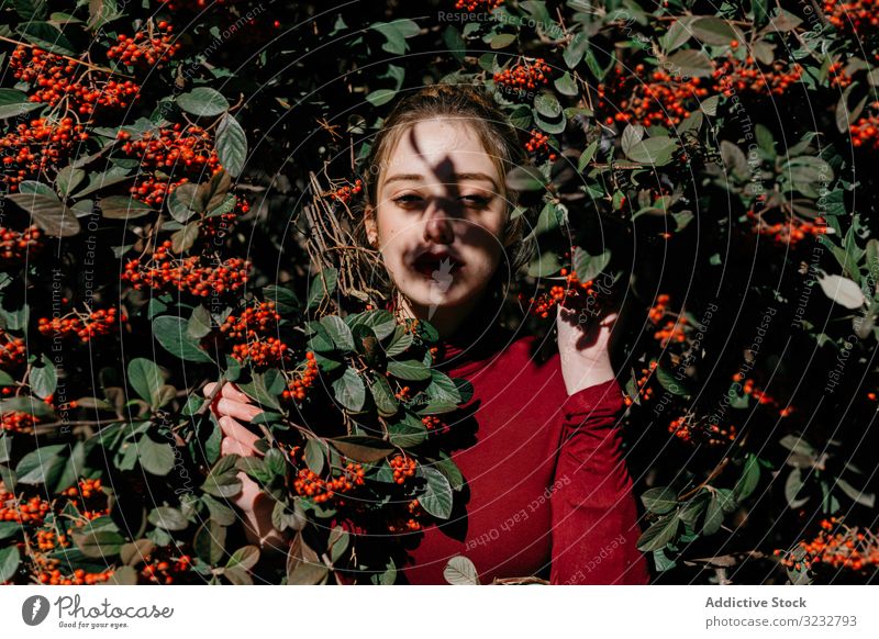 Junge Frau im Busch mit Beeren Buchse Garten Ast Laubwerk geschlossene Augen jung sonnig tagsüber Natur frisch Blütezeit Lifestyle Landschaft natürlich rot grün