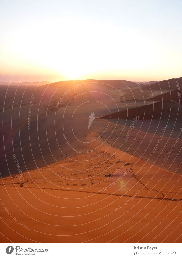 Sonnenaufgang in der Namib Ferien & Urlaub & Reisen Expedition Natur Landschaft Erde Sand Wolkenloser Himmel Sonnenuntergang Klima Schönes Wetter Dürre Hügel