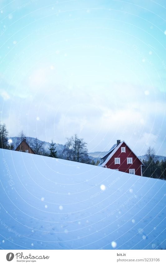 Schnee im Schwarzwald Ferien & Urlaub & Reisen Tourismus Ausflug Umwelt Natur Landschaft Luft Himmel Winter Klima Klimawandel schlechtes Wetter Eis Frost