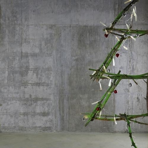 The Christmas Tree Wohnung Dekoration & Verzierung Feste & Feiern Weihnachten & Advent Duft entdecken Coolness Fröhlichkeit grün Gefühle Güte Gastfreundschaft