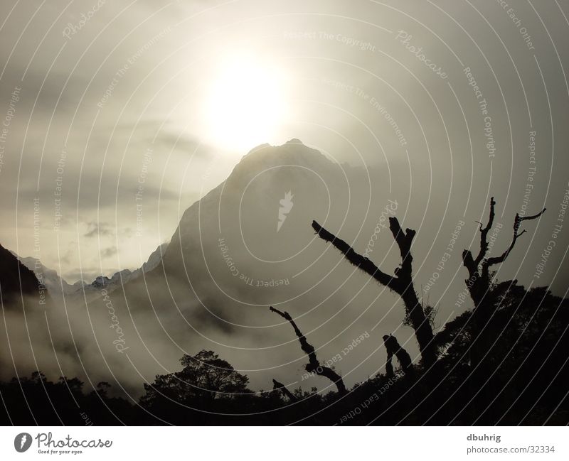 mystic mountain Nebel Neuseeland Berge u. Gebirge Sonne