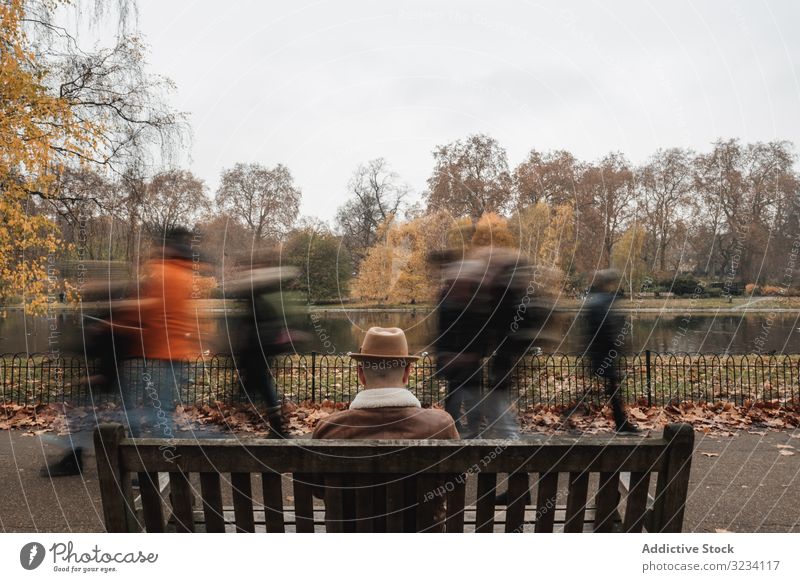 Anonymer Mann ruht auf Bank am Teich Park See Herbst Gasse ruhen sitzen London Erwachsener männlich Baum fallen Saison Wasser Windstille ruhig Gelassenheit