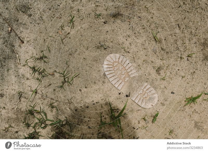 Stiefelsohle im trockenen Boden Landschaft Sohle Gras getrocknet Gambia Schuhe festgeklebt Natur niemand Pflanze dreckig Sand Wachstum Vegetation Flora Gelände