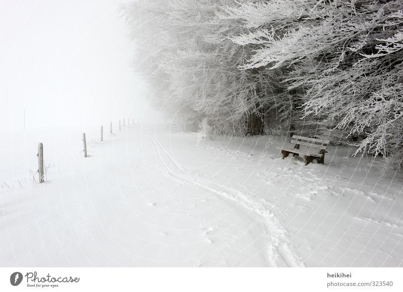 WINTER Ferien & Urlaub & Reisen Ausflug Ferne Freiheit Winter Schnee Winterurlaub Sport Skifahren Umwelt Natur Landschaft Wetter schlechtes Wetter Nebel Eis