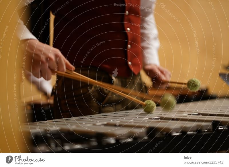 Der Schlagwerker Musik Musiker Orchester Leidenschaft Glockenspiel Schlagzeuger Konzert Farbfoto Innenaufnahme