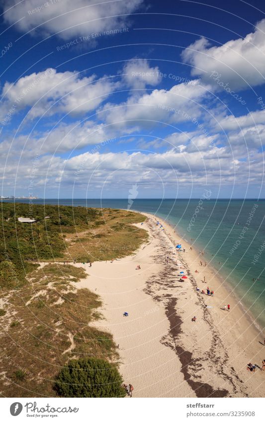 Luftaufnahme von Bill Baggs Cape Florida State Park Strand Meer Natur Landschaft Küste Fluggerät blau Schutz Luftaufnahme vom Strand Luftaufnahme am Wasser