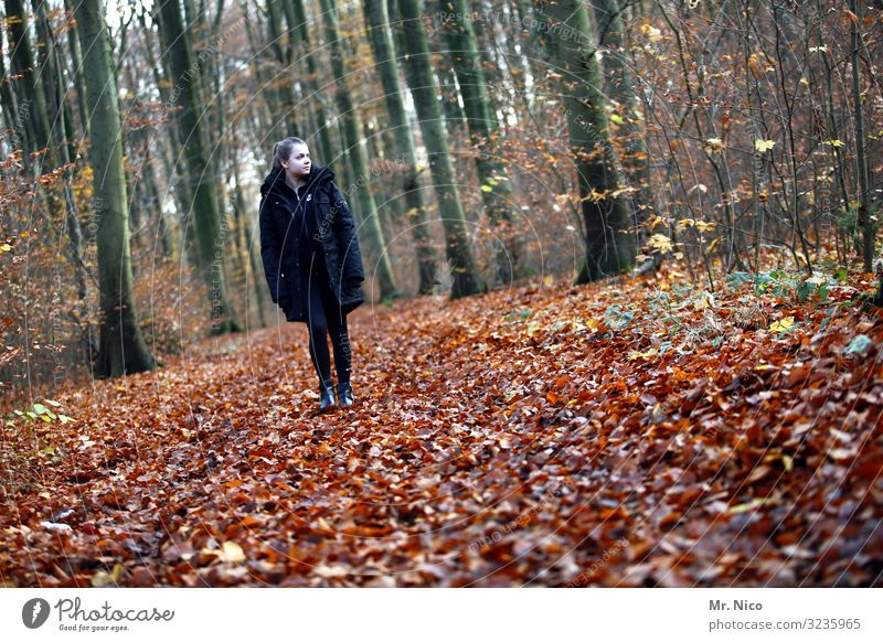 waldläufer Freizeit & Hobby Ferien & Urlaub & Reisen wandern feminin Junge Frau Jugendliche 1 Mensch 18-30 Jahre Erwachsene Umwelt Natur Herbst Baum Blatt Wald