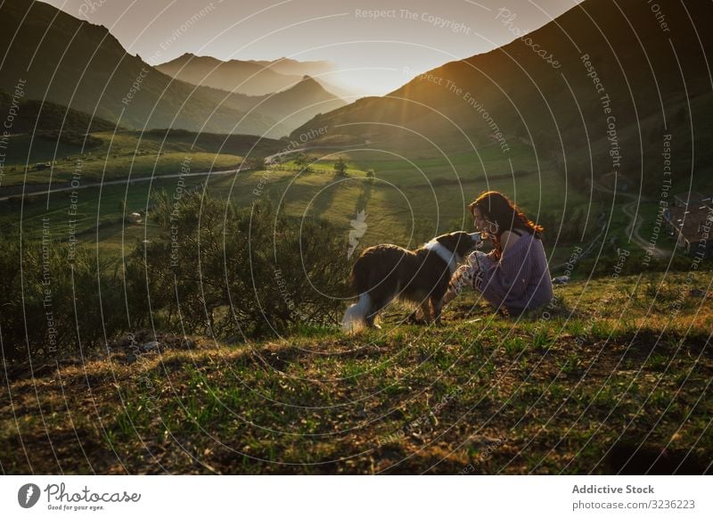 Erwachsener Tourist mit Hund gegen grün bewaldetes Tal unter klarem Himmel im Sommer Berge u. Gebirge Frau Ambitus Border Collie Hügel Wiese Treue Höhe Kamm