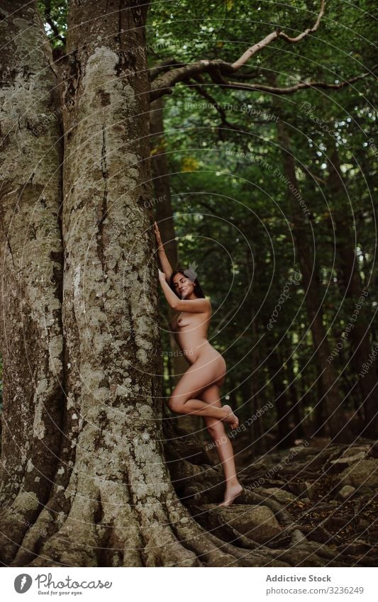 Nackte sinnliche Frau am Baum im Wald nackt sexy Körper jung Pflanze Model Haut Figur perfekt Kunst elegant Gesundheit Schönheit hübsch Dame attraktiv natürlich