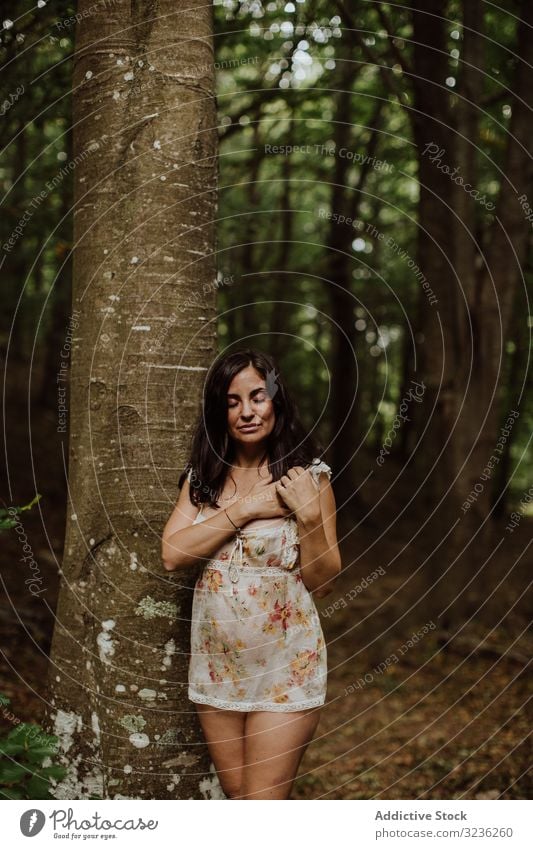 Schüchterne, sinnliche Frau steht auf Stein im Wald langhaarig Model schüchtern Haut Figur perfekt Kunst Baum elegant Schönheit Dame attraktiv natürlich