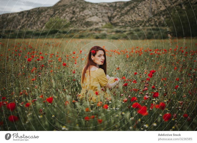 Hübsche erwachsene Frau schaut in die Kamera über die Schulter, während sie mit Mohn und Gänseblümchen im Feld sitzt Blume ländlich besinnlich Windstille rot