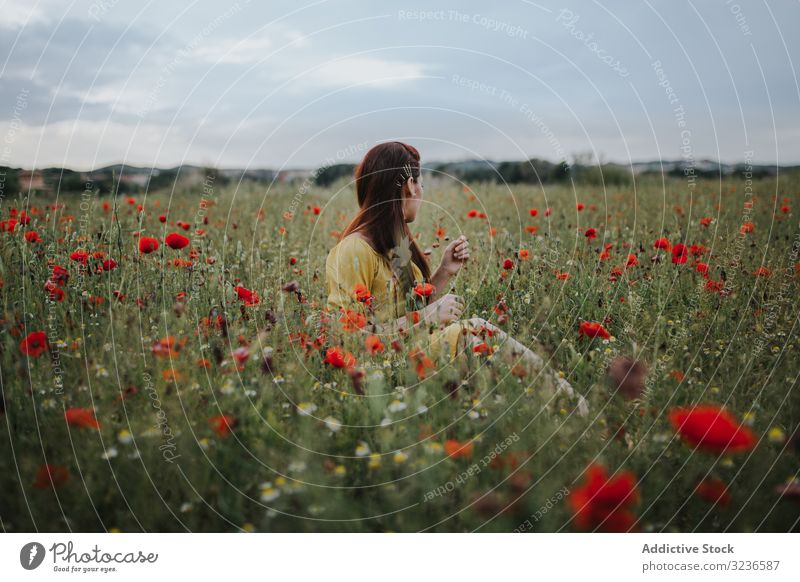 Frau sitzt auf dem Feld mit Mohn und Gänseblümchen Blume ländlich besinnlich Windstille rot grün gelb weiß spielend Charme rote Haare Kamille nachdenklich
