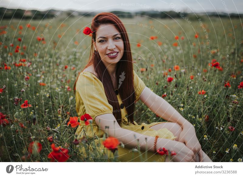 Frau sitzt auf dem Feld mit Mohn und Gänseblümchen Blume ländlich besinnlich Windstille rot grün gelb weiß spielend Charme rote Haare Kamille nachdenklich