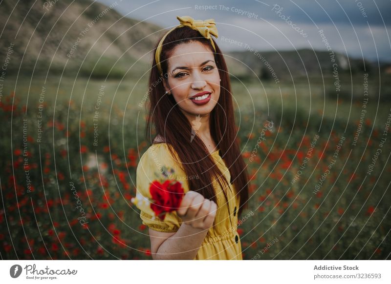 Schöne glückliche erwachsene Frau hält Rose und schaut in die Kamera, während sie auf der Wiese steht Blume Schönheit ländlich Roséwein Stirnband zufrieden Feld