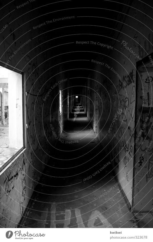 Tunnelblick Stadt Menschenleer Industrieanlage Fabrik Bauwerk Gebäude Mauer Wand Fassade Fenster alt bedrohlich dreckig dunkel gruselig kalt kaputt rebellisch