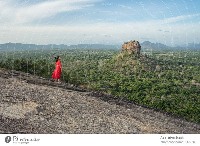 Tourist gegen einsamen Felsen inmitten grüner Waldebene unter klarem Himmel im Sommer Tourismus Berge u. Gebirge Plateau Frau reisen Höhe Ebene Sigiriya