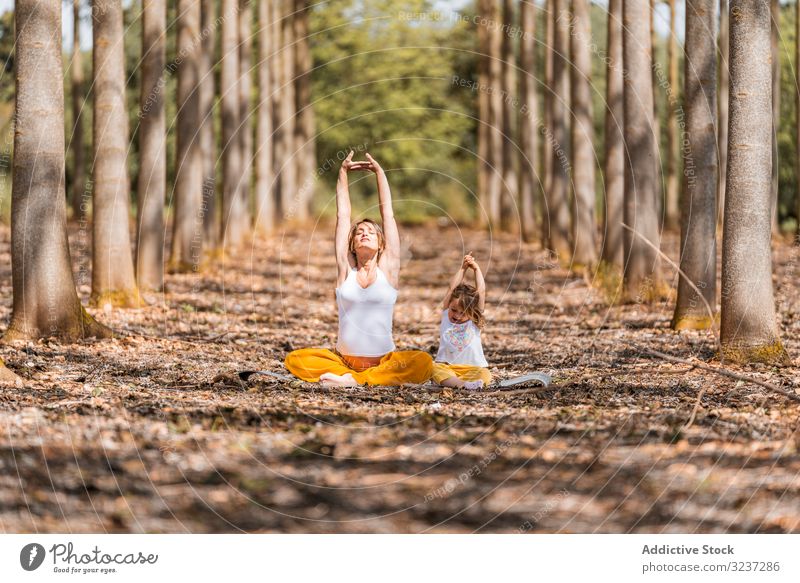 Mutter mit Tochter praktiziert Yoga auf der Erde auf einer Lichtung zwischen Bäumen im Park an einem sonnigen Tag Dehnung Waldwiese sich[Akk] entspannen