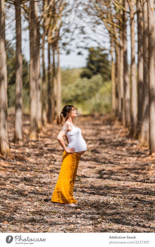 Erwachsene werdende Mutter praktiziert Yoga im Park an einem sonnigen Tag Frau üben Waldwiese Pose schwanger Konzentration Übung Bauch Gesundheit Erwartung